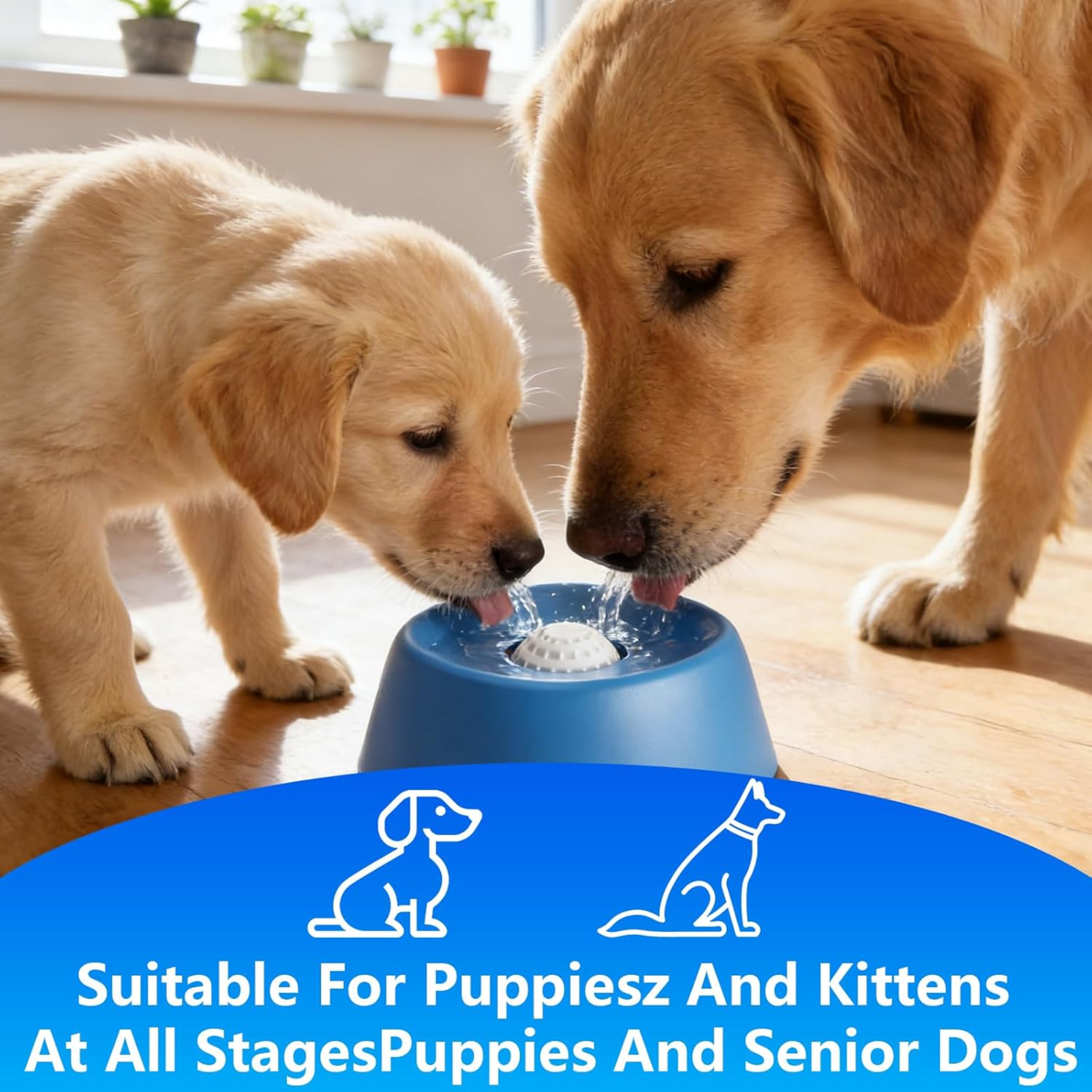 Anti-stress bowl for dogs